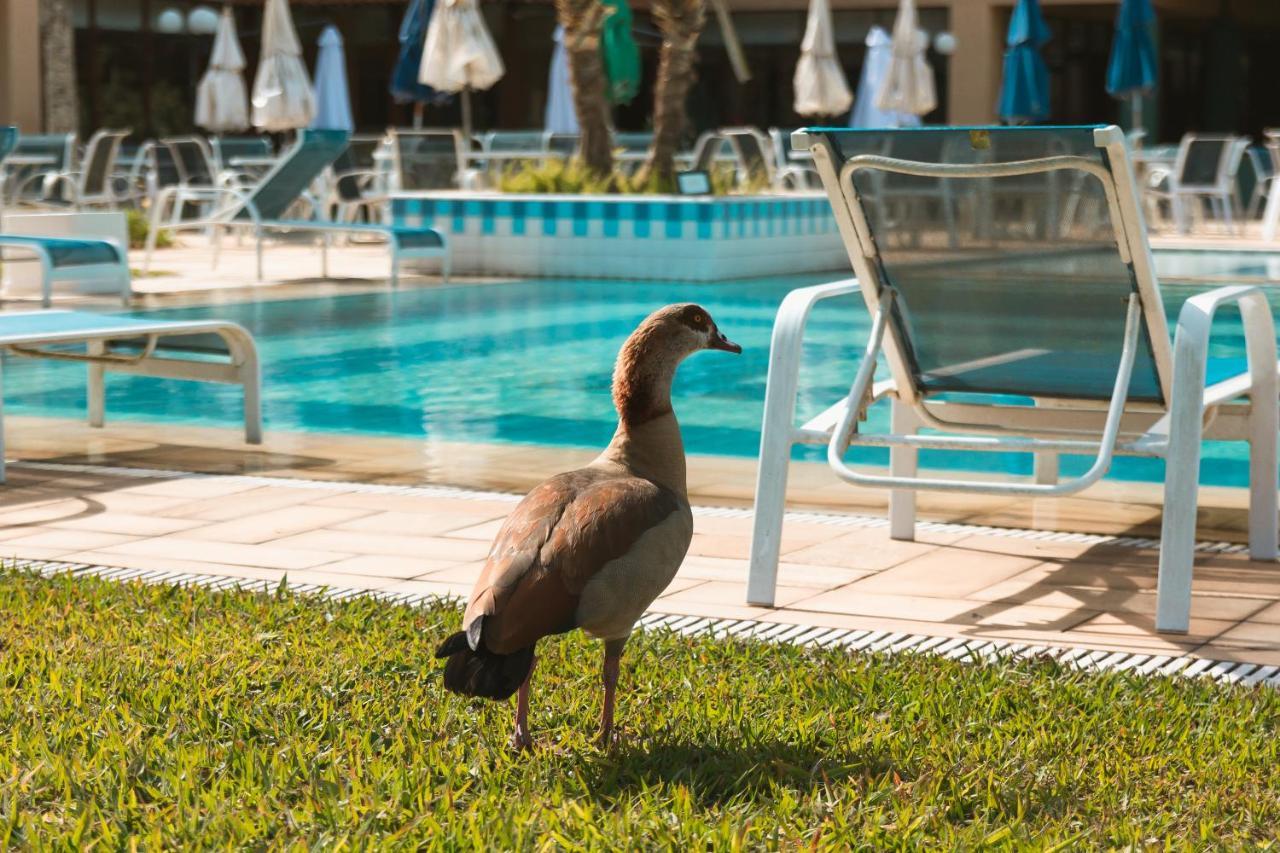 Villa Itaipava Resort & Conventions Экстерьер фото